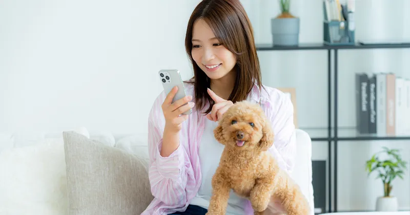 情報を整理して分かりやすく伝えられる