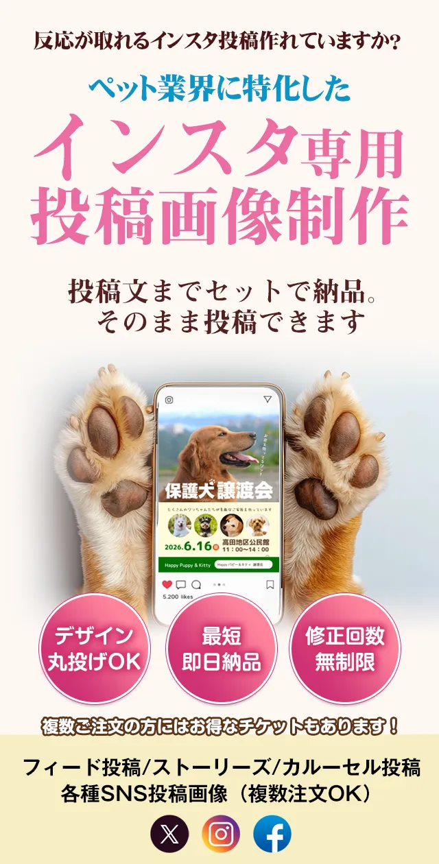 インスタ投稿画像制作 スマホ用メインビジュアル