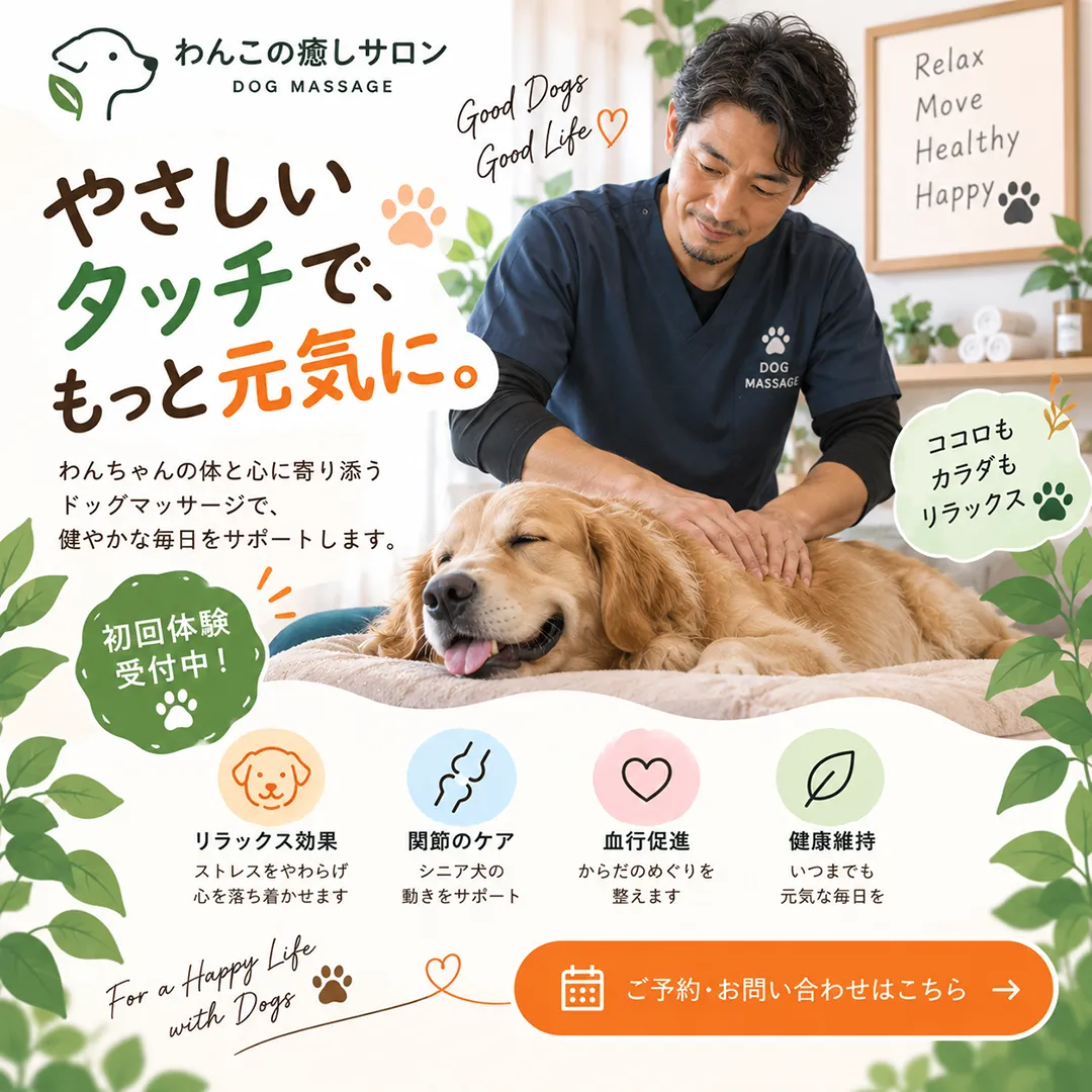 SNS投稿デザイン例