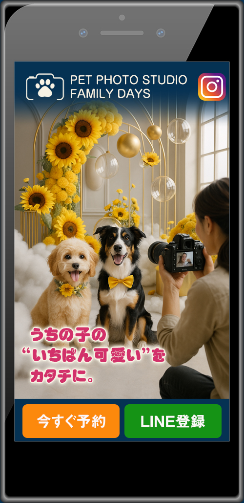 フォトスタジオ